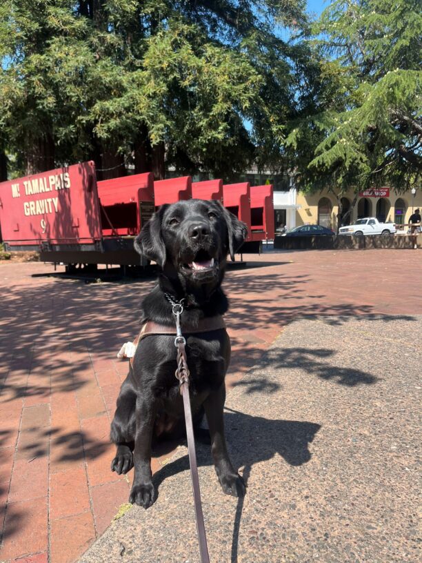 Valdine is pictured in harness, in front a red cabin-piece from a train. The cabin is set in front of several large redwood trees. It is sunny as Valdine appears to be smiling while looking at the camera.