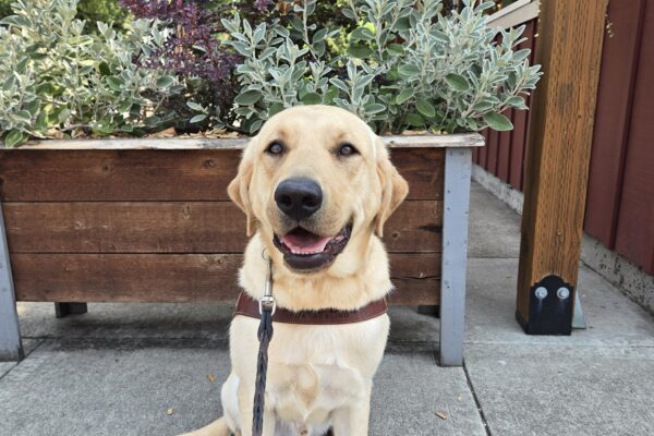 Clay is in the Sellwood neighborhood of Portland, OR. He's wearing his harness, facing the camera, and smiling. There's a planter with various shrubs in the background.
