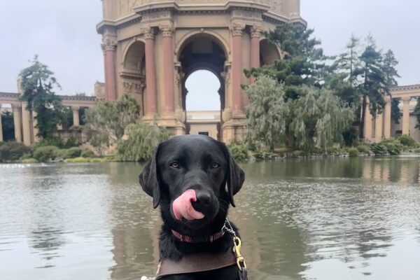 Carly in harness licking her nose in front of a lagoon with Roman-inspired columns and a half dome behind her.