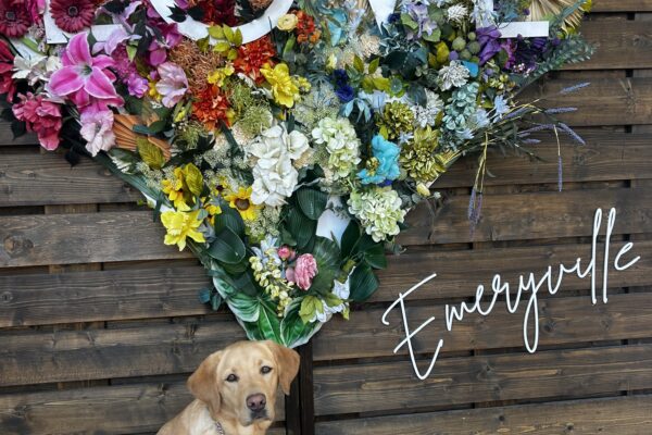 Vonda sits in harness looking towards the camera in front of a floral heart shaped sign that says love.