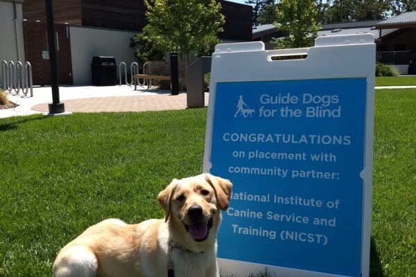Pandora is sitting on a green lawn next to a blue sign that welcomes her into the NICST program.
