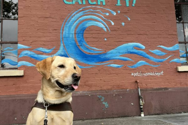 Tot is pictured sitting in harness, staring off in to the distance with what appears to be a smile on her face. She has a mural behind her on a large brick building, the mural has waves painted and says "life's a wave, catch it!"