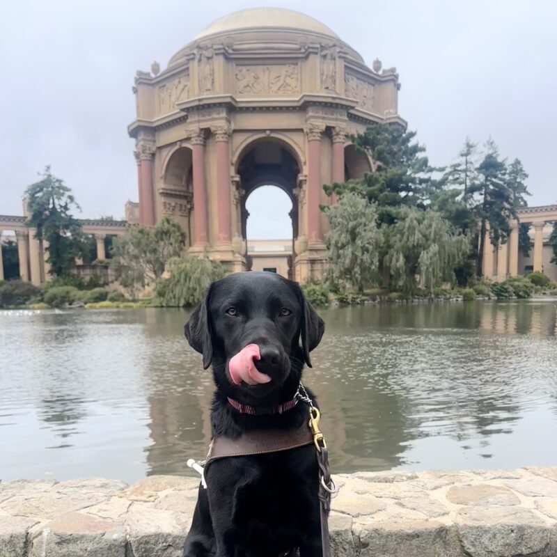 Carly in harness licking her nose in front of a lagoon with Roman-inspired columns and a half dome behind her.
