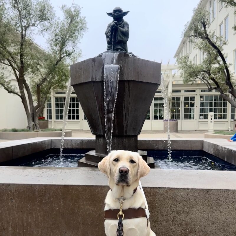 Laurie sitting in harness in front of a fountain with a statue of Yoda on top.