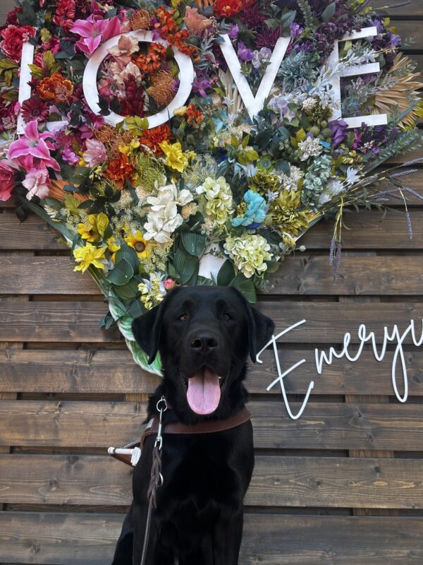 Reeves sits in harness with a big smile on his face as he looks at the camera. He sits in front of a floral sign that says Love