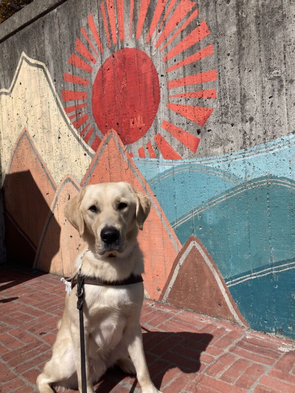 Langston sits in harness in front of a colorful mural.