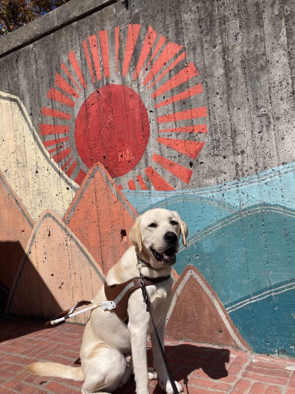 Wrangler sits in harness in front of a colorful mural.