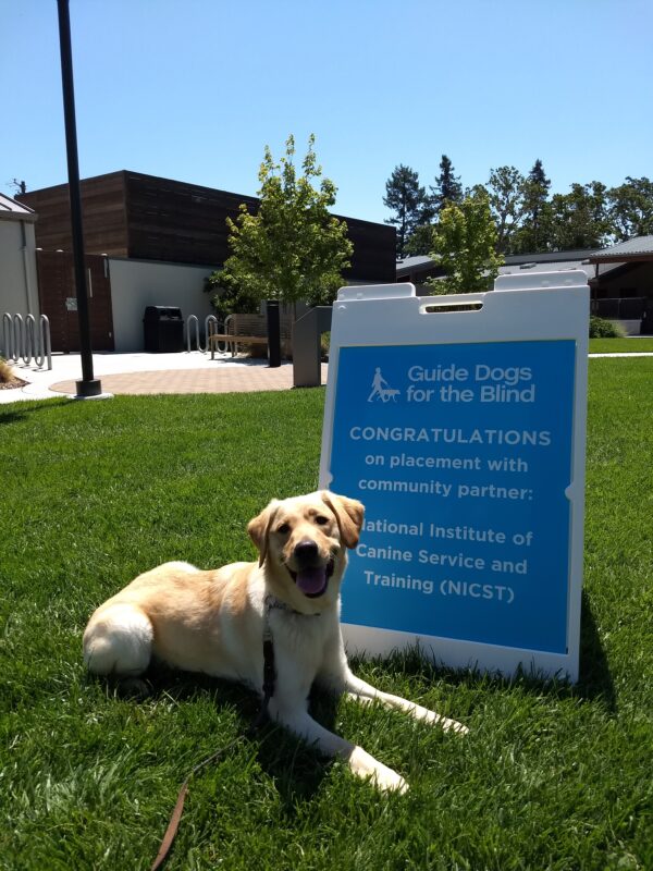 Pandora is sitting on a green lawn next to a blue sign that welcomes her into the NICST program.