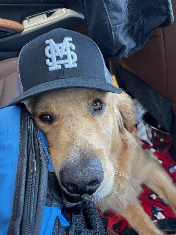Willard is geared up wearing at team cap as he rides in the car on the way to the baseball game.