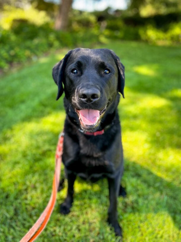 Denton sits on the shady grass on campus smiling at the camera