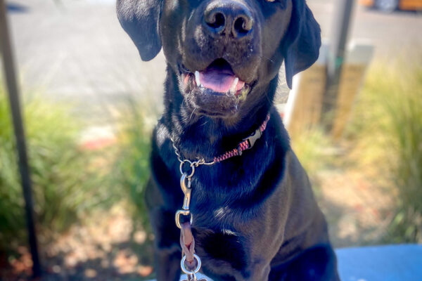 Kenza sits on a shady pathway smiling up at the camera