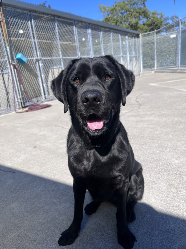 Alistair sits in a concrete play area. He smiles at the camera.