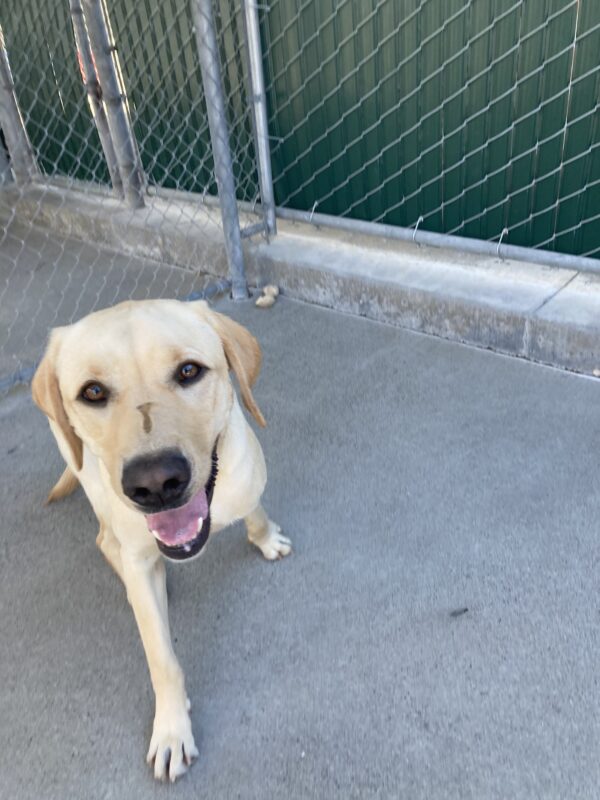 Orson playing in community run looking towards the camera.