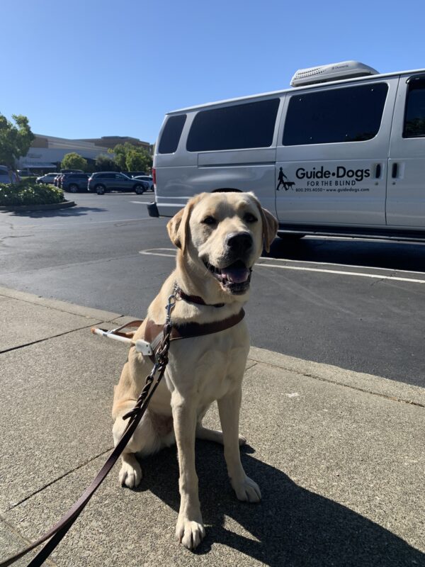 Matt sits in harness in front of a white training van after finishing a route to a shopping center.