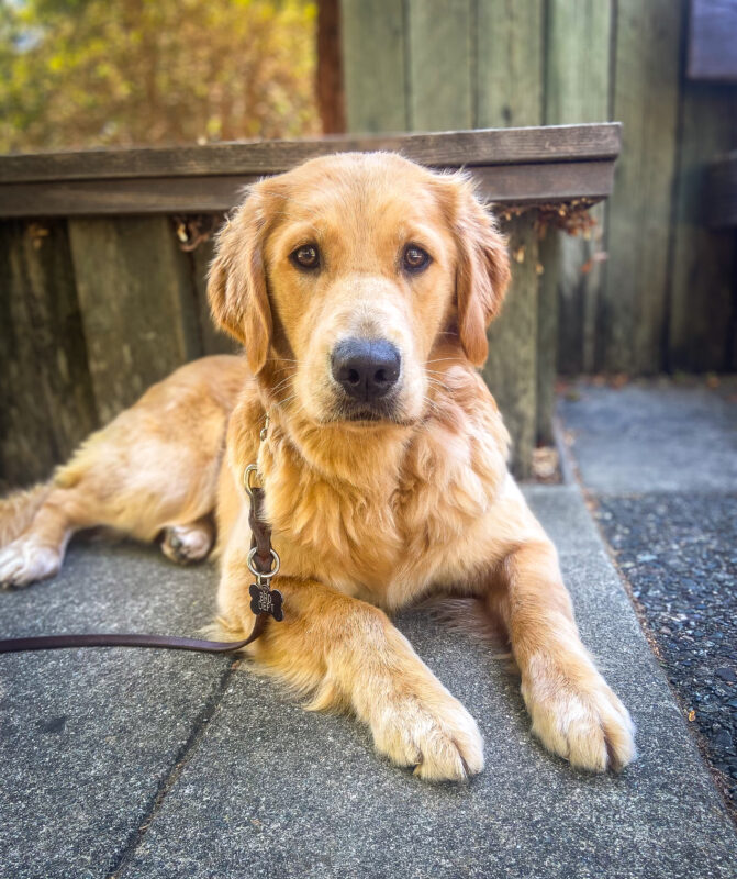 Charmaine lies on the pavement during a campus walk, looking sweetly at the camera
