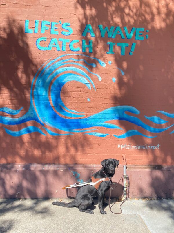 Hallmark sits in harness under a large mural of a wave. Above the wave reads