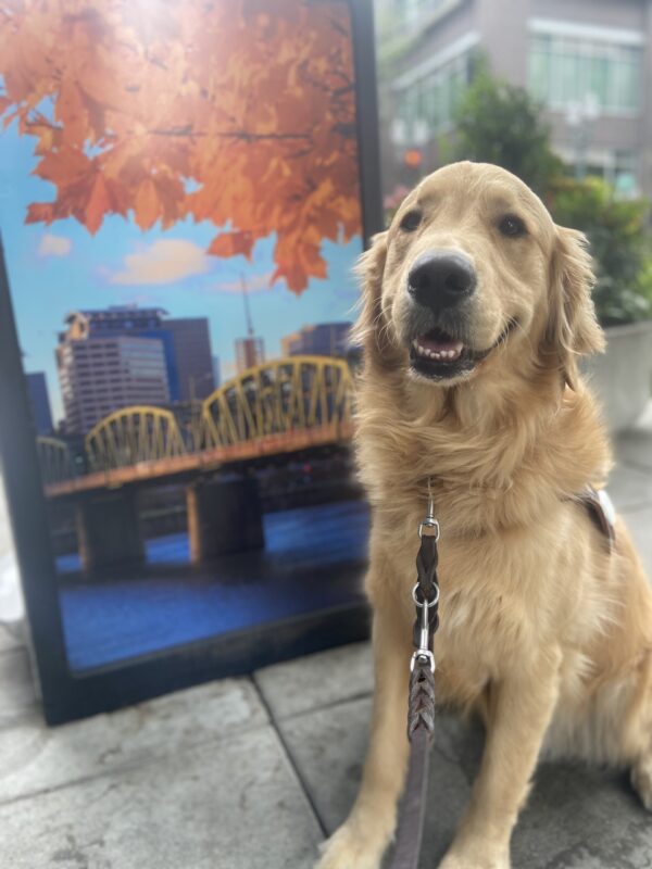 Irvine sits in front of city mail drop box that has a photo on the side. The picture depicts a bridge over a river and the city scape of downtown Portland in the back ground.