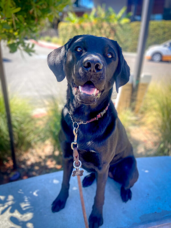 Kenza sits on a shady pathway smiling up at the camera