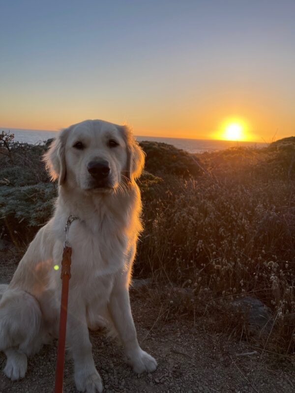 <p>Laguna sits at a campground with a sunset over the ocean behind her.</p>