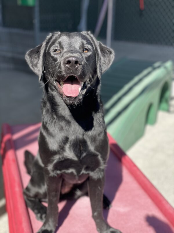 Rinda is sitting on a red play structure in community run. She is looking to the camera with a smile on her face.