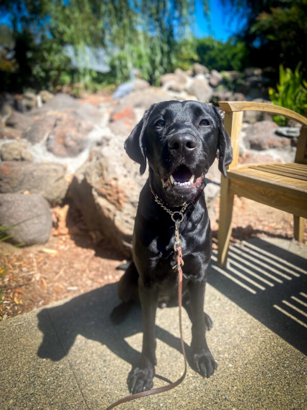 Winelle sits smiling on a sunny patio with a rocky pond and bench in the background