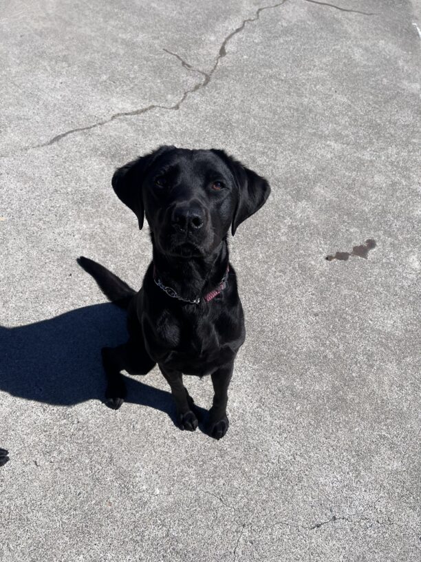 Regina sits on a concrete play area. She sits and looks up at the camera.