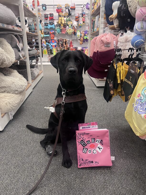 Regina sits inside a pet section of a department store. Dog beds, clothing, and toys surround her. She poses with a bright pink dog toy.