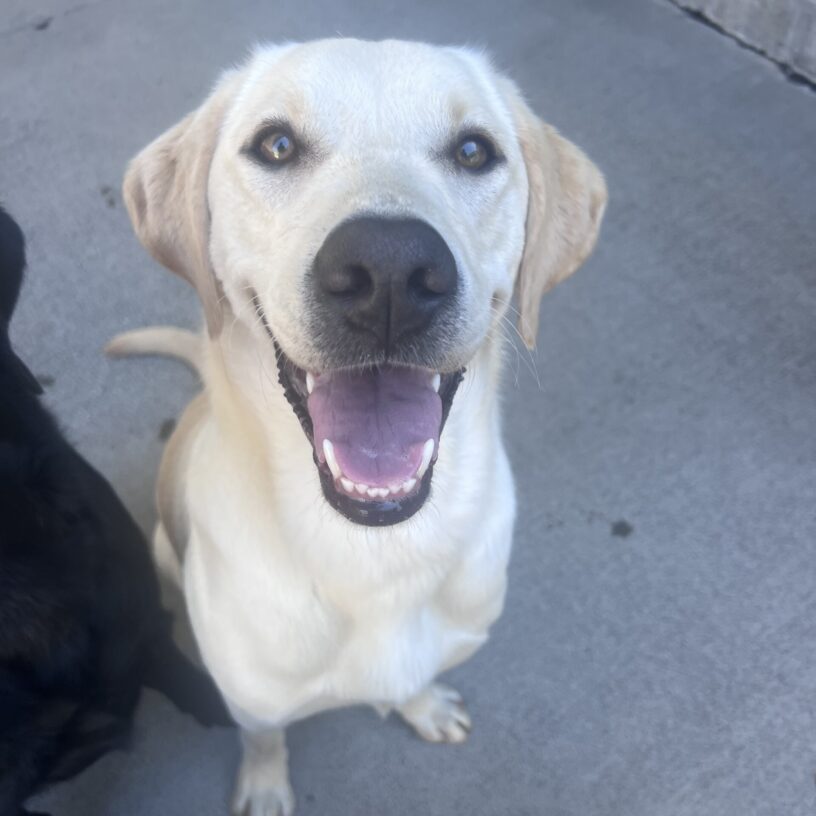 Hilde is sitting in community run and is looking up at the camera with her mouth open in a happy smile.