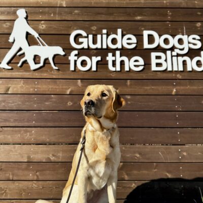 Anya sits on a low wall in front of a sign with Guide Dogs’ logo. She is looking off into the distance and contemplates her bright future.
