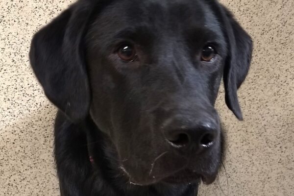 Close up portrait