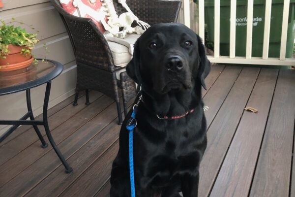 Kenza poses on the porch of her foster care home with a Halloween skeleton sitting in a patio chair behind her