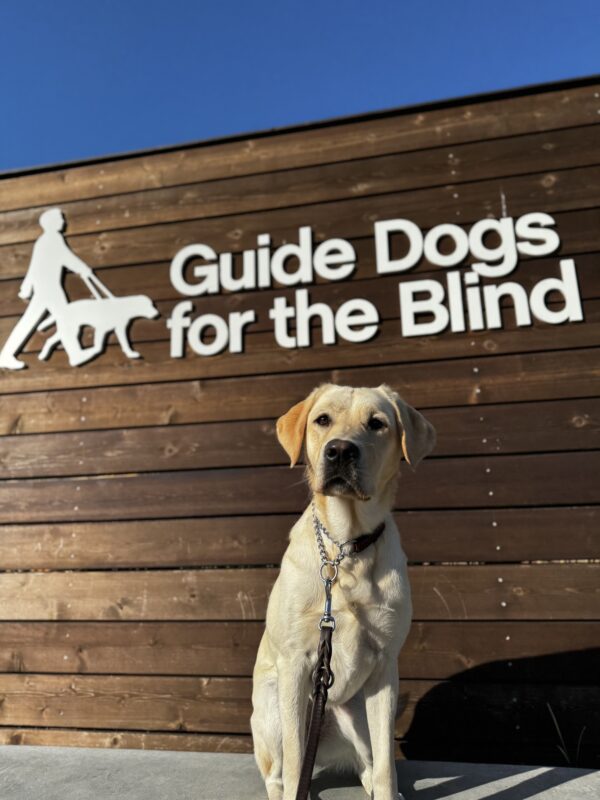 <p>Valla poses in front of a sign bearing Guide Dogs for the Blind's logo. She is looking at the camera. Blue sky is seen in the background. </p>