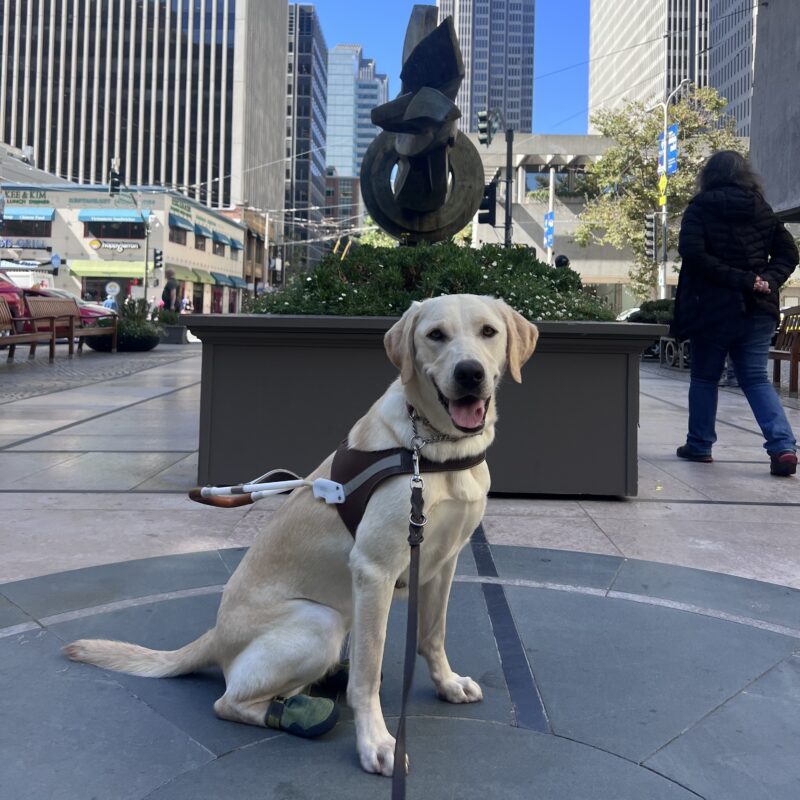 Hilde is sitting in front of a large sculpture in San Francisco. She is looking at the camera with a happy smile on her face.
