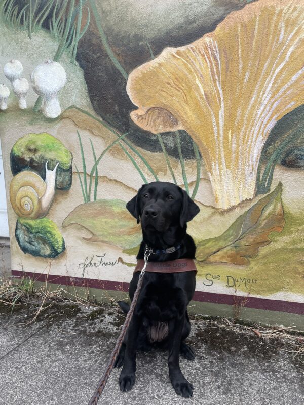 Gina is sitting and wearing her harness. She is in Estacada, OR. Behind her is a mural of a forest floor with mushrooms and a snail.