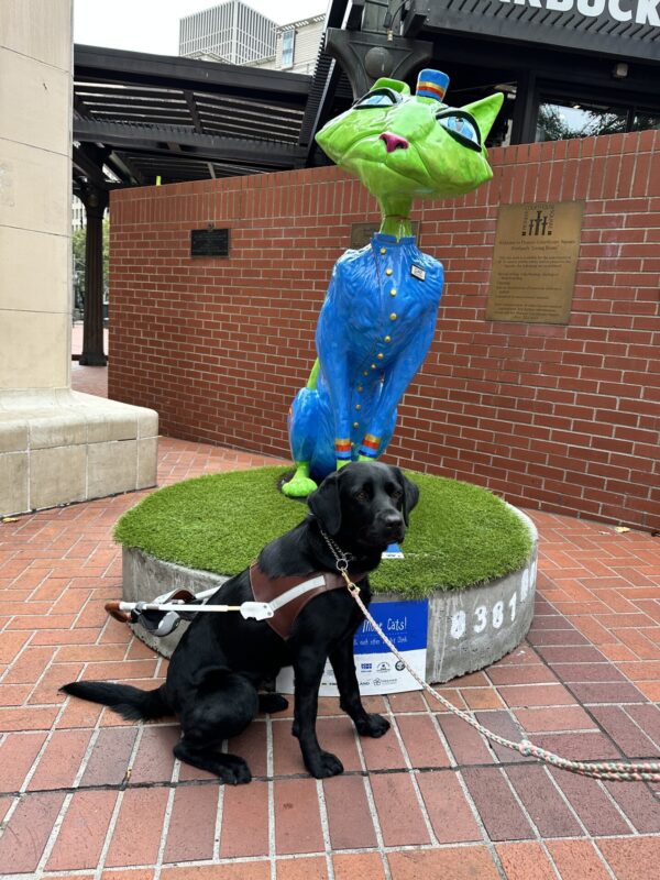 A black Labrador Retriever sits in front of a blue and green 