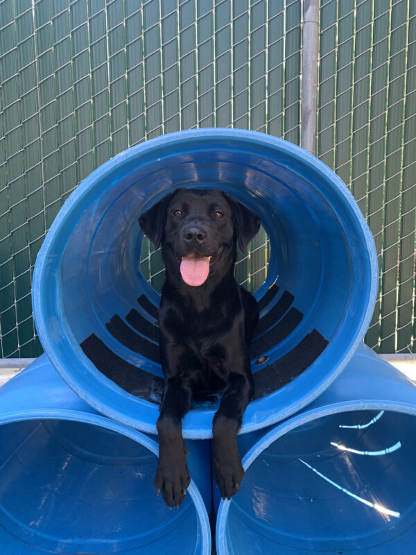 Gabby sports a big smile as she lays in a blue barrel style play structure.