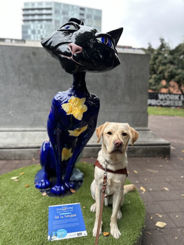 Melvin, a male yellow lab, sits in his GDB harness on a turf pedestal next to one of Portland’s famous cat statues. To his right, a large, cartoon black cat statue sits behind a blue information panel. Melvin looks at the camera with an interested expression.