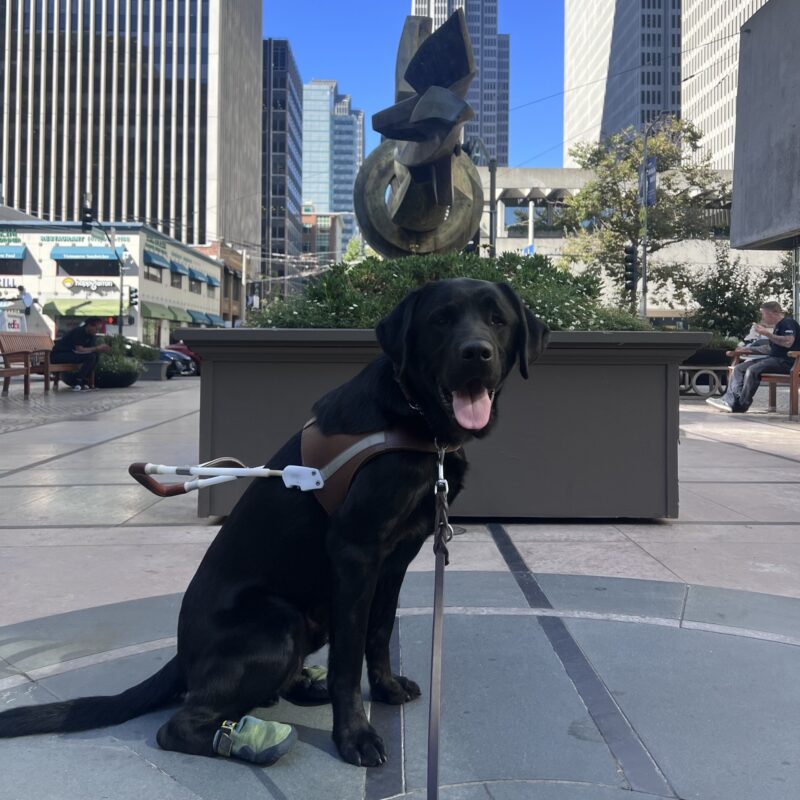 Reeves is sitting in front of a sculpture in San Francisco. He is looking at the camera with a happy smile on his face.