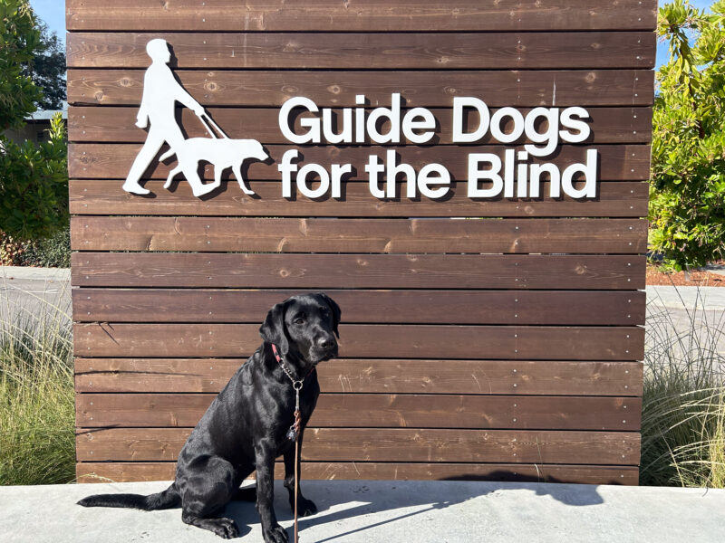 Winelle poses in front of the wooden GDB sign on campus