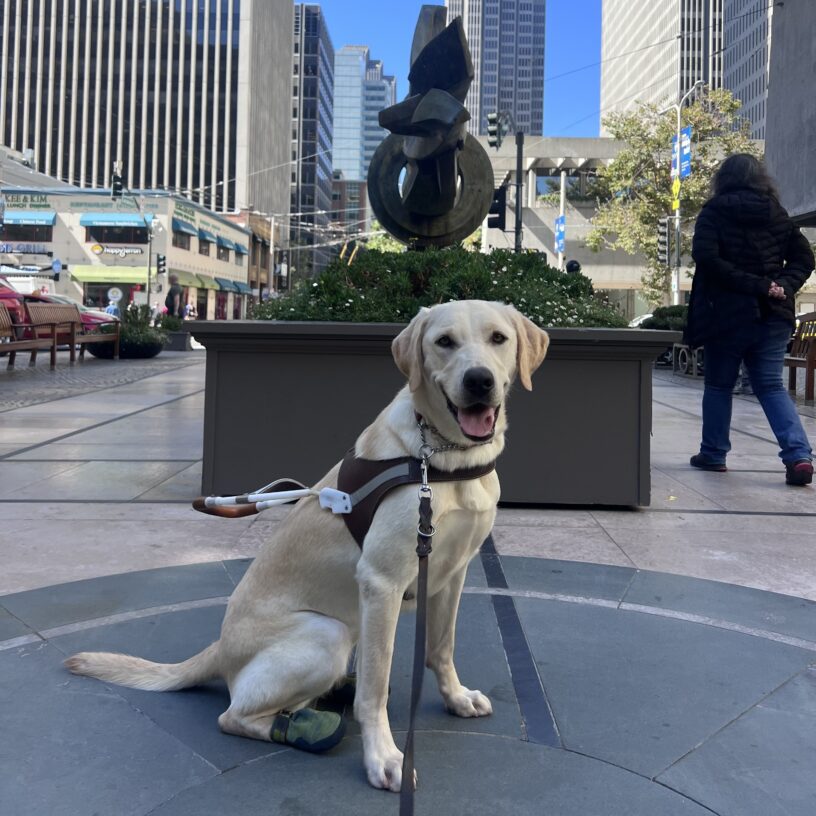 Hilde is sitting in front of a large sculpture in San Francisco. She is looking at the camera with a happy smile on her face.