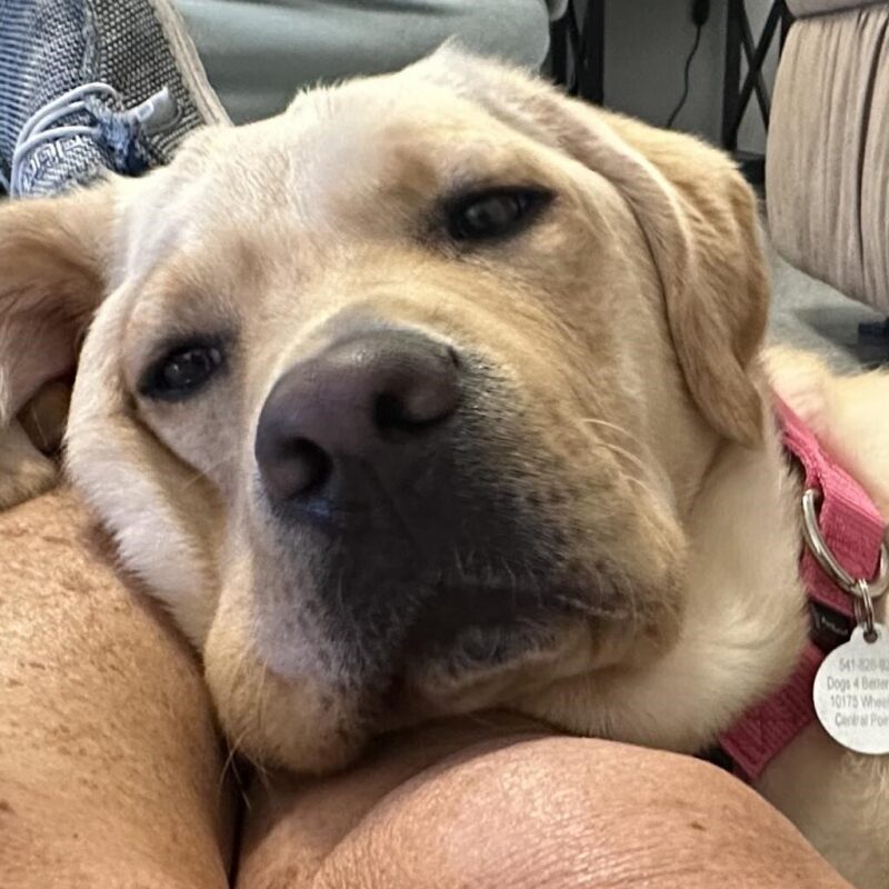 Up close face of Vicki's face all snuggled up on someone's lap