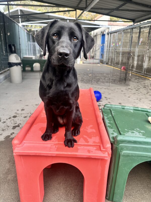 Juana sitting on a red play structure.