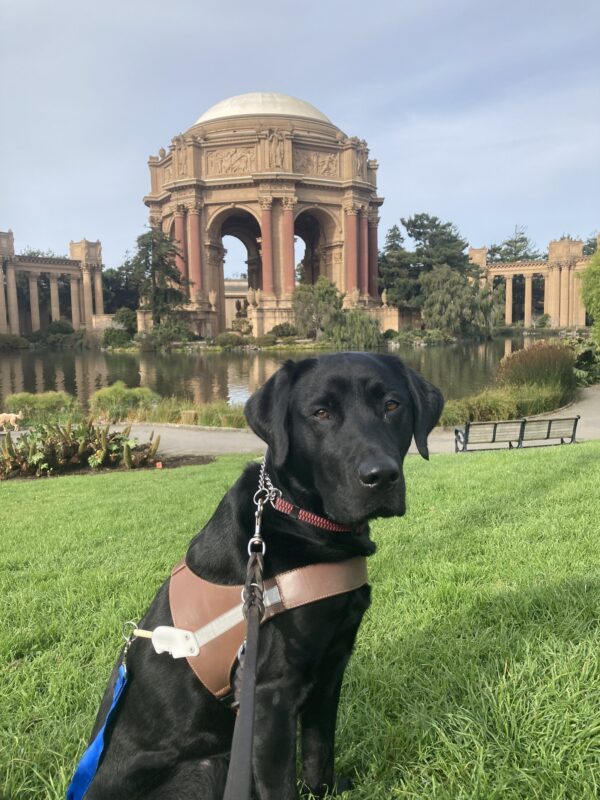 Lonny sits in harness in front of the Palace of Fine Arts.