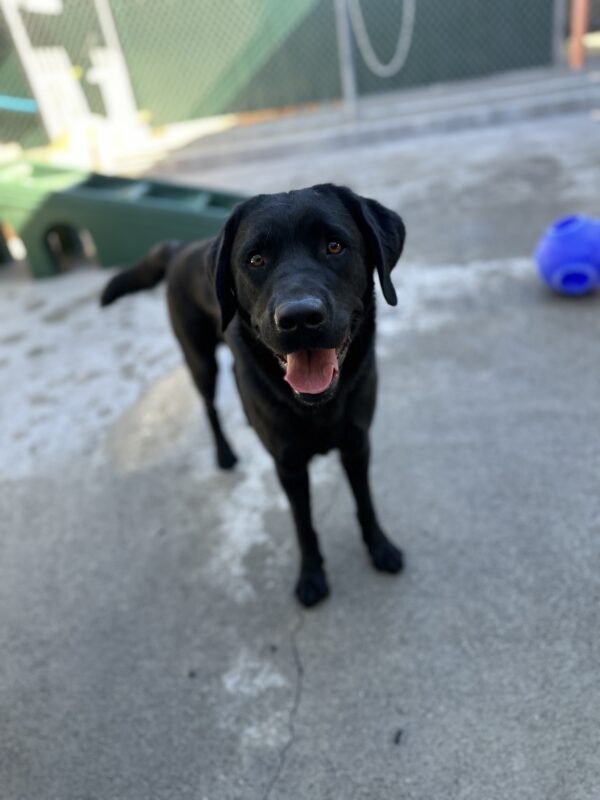 Denton standing on cement looking at the camera.