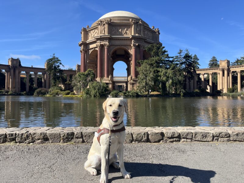 Valla is pictured wearing her harness and sitting in front of a pond. She is smiling up at the camera. In the background is Palace of Fine Arts in San Francisco.