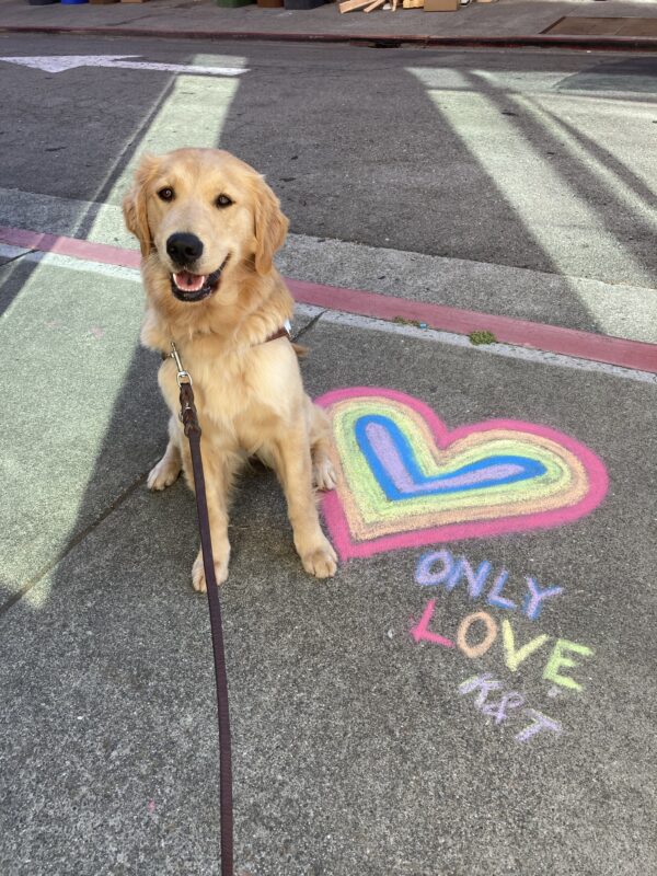 Charmaine sits in harness along a sidewalk. She is sitting next to a multi-colored chalk heart with the words