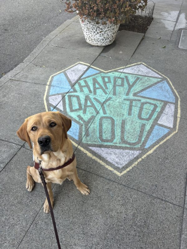 Lars sits in harness next to a colorful chalk art that says 