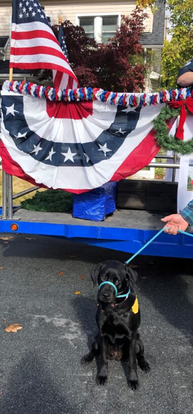 Kenza sits in front of red white & blue decorations at a parade