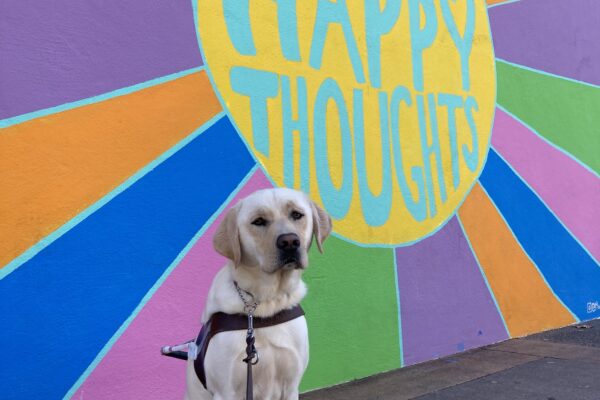 Vinny sits in harness in front a colorful mural with the words "Think Happy Thoughts."