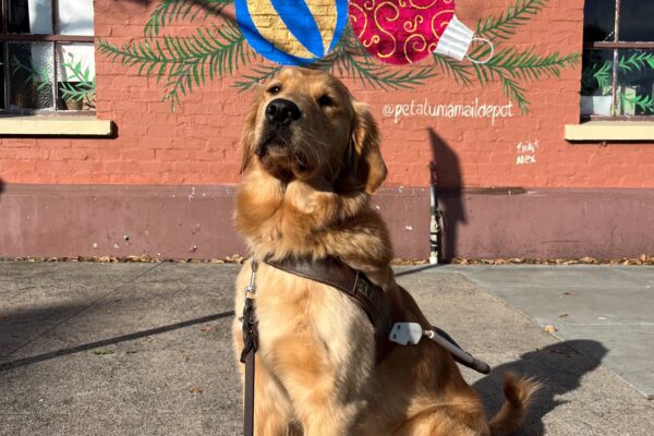 Charmaine sits in harness in front of a large brick wall featuring seasonal graffiti that features decorated ornaments as well as a quote that says: "It's not how much we give but how much love we put into giving."